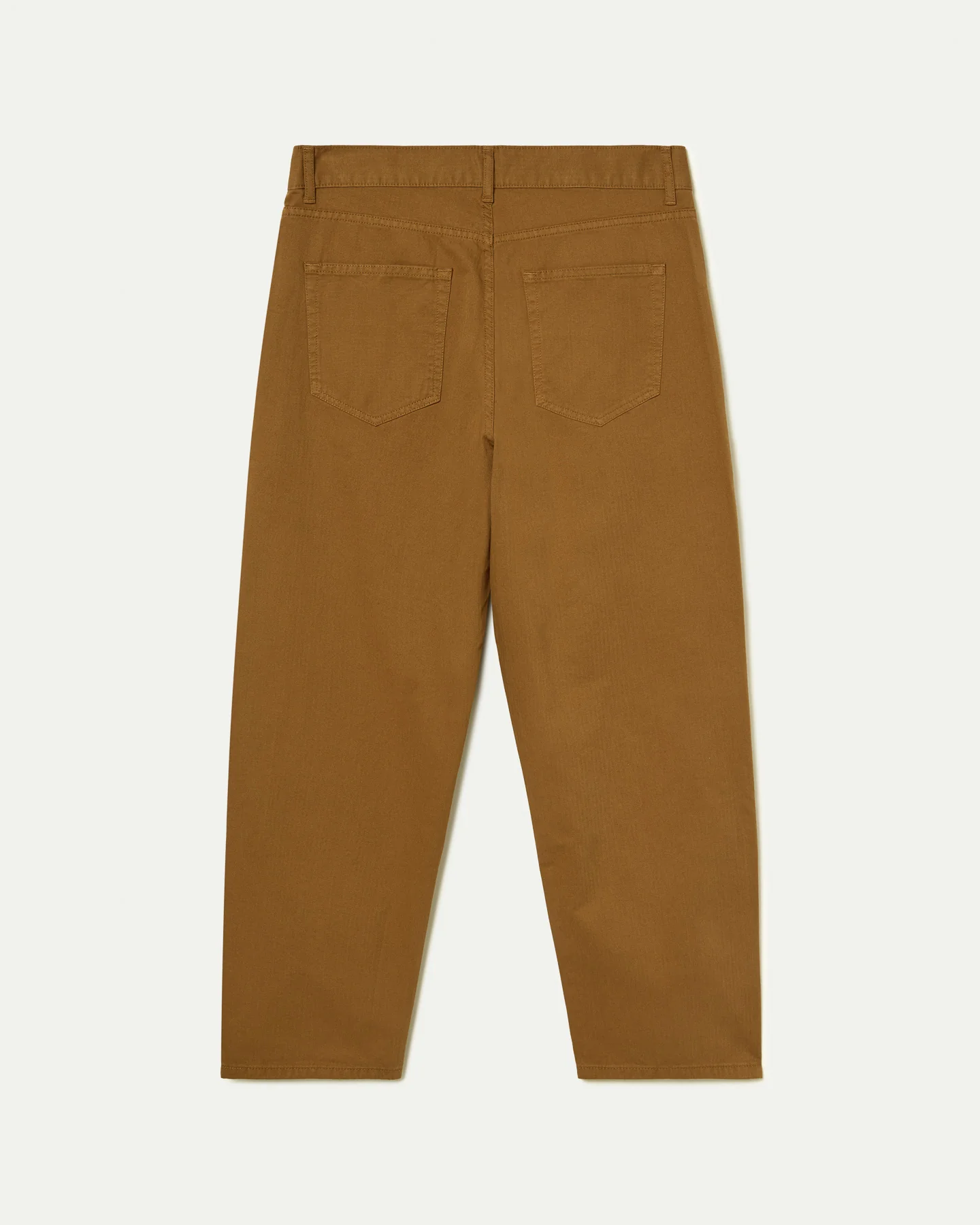 Medina Camel - Image 3