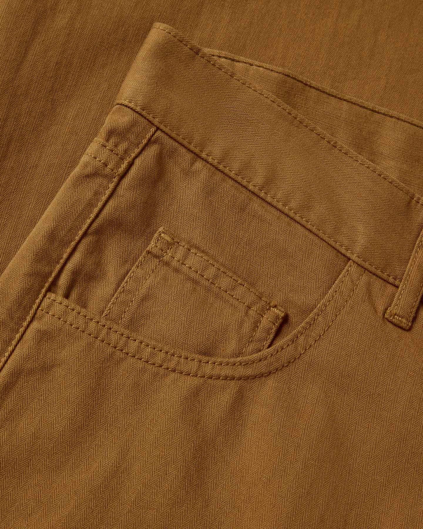 Medina Camel - Image 4